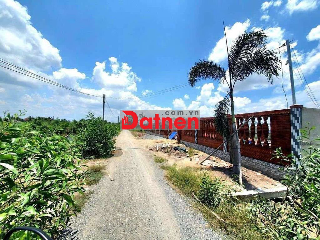 15×49 TỔNG 744m2 CÓ 372 THỔ 372 VƯỜN ,ĐƯỜNG ÔTÔ NGAY ĐẤT, THỦ THỪA L.A