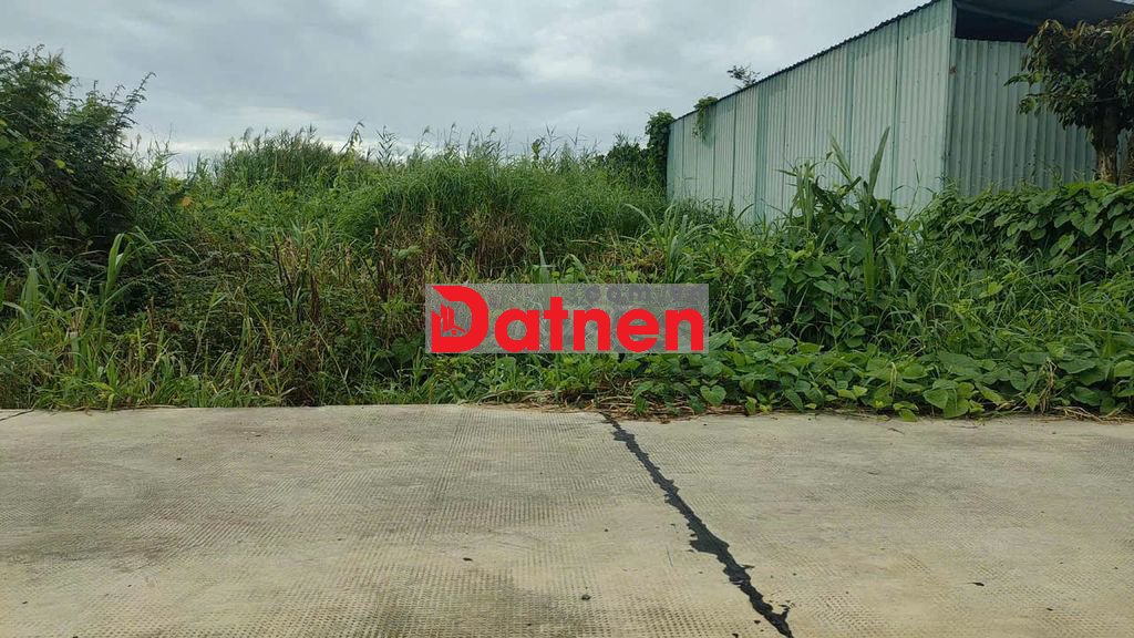 Bán Lô Đất 6m x 26m Full Thổ Cư 100% Đường Nhánh Ra TL827 Bình Nam P.7