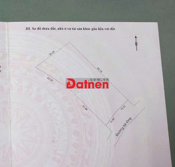 Đất xây nhà vườn 1113m2 có 150m2 đất ở ngang rộng 21m nở hậu