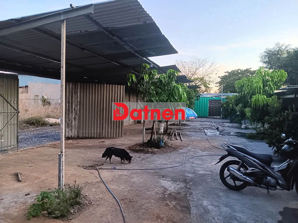 ban đat trông cây lâu năm cây cám