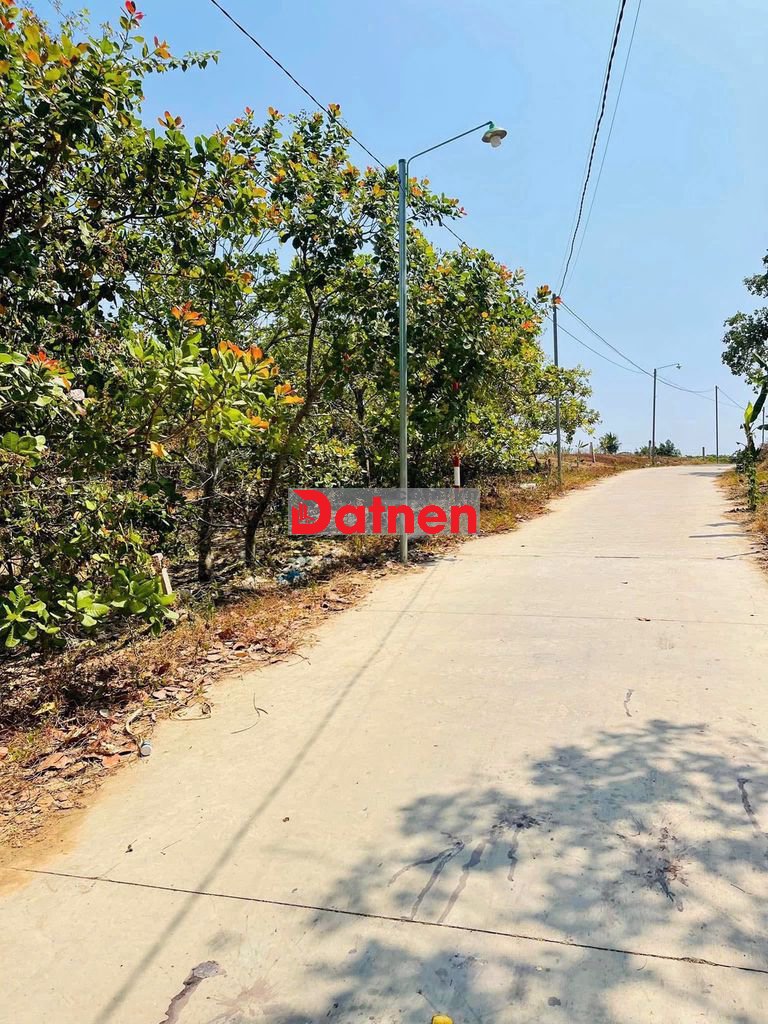 Bán đất full thổ cư tại thị trấn Định Quán, đường bê tông