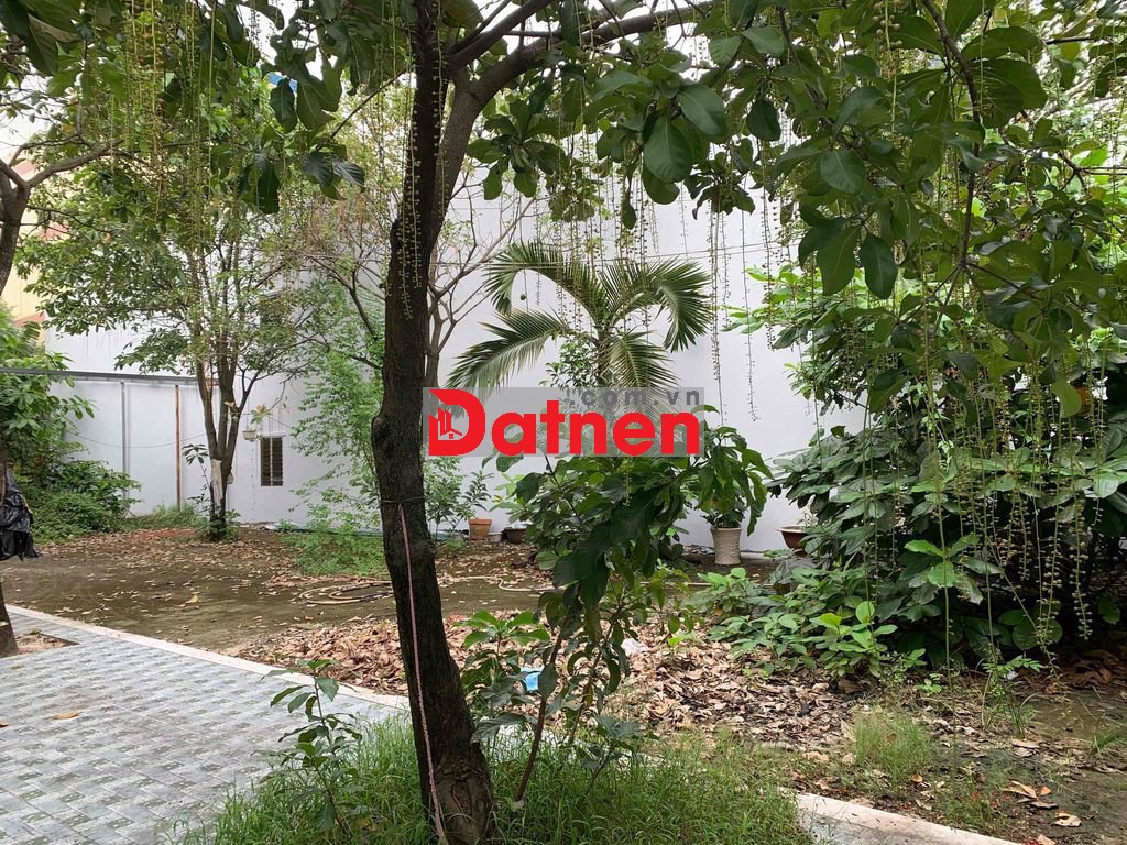 ĐẤT SẠCH MẶT TIỀN ĐƯỜNG TIỀN LÂN 15, BÀ ĐIỂM – SÁT VÁCH TÂN THỚI NHẤT