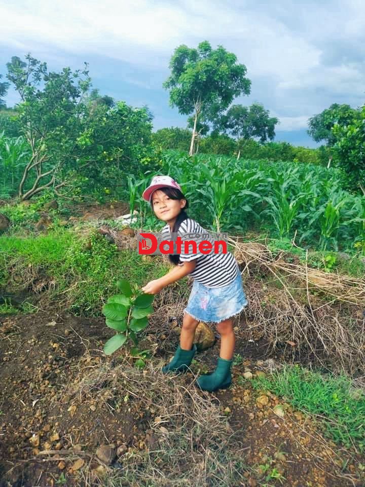 🏡 Cực hiếm! 2000m² Long Khánh, giá 1.95 tỷ, kề cao tốc Dầu Giây Đà Lạt