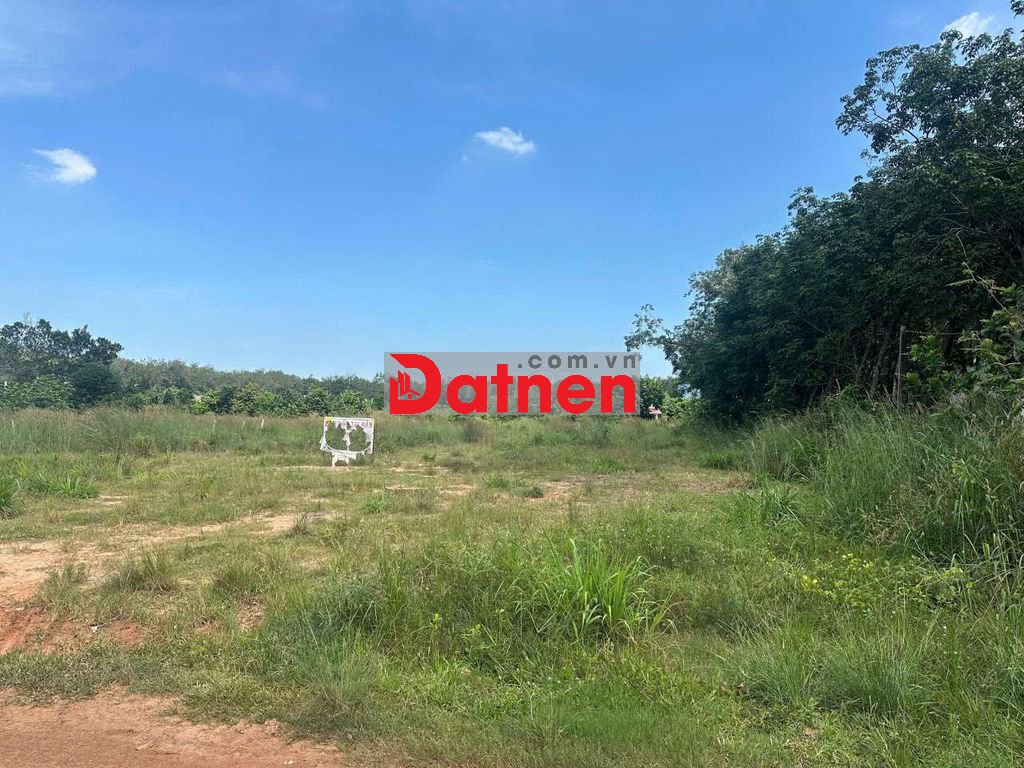 Chủ giảm giá bán nhanh , đất Lai Hưng Bầu Bàng , giá tốt