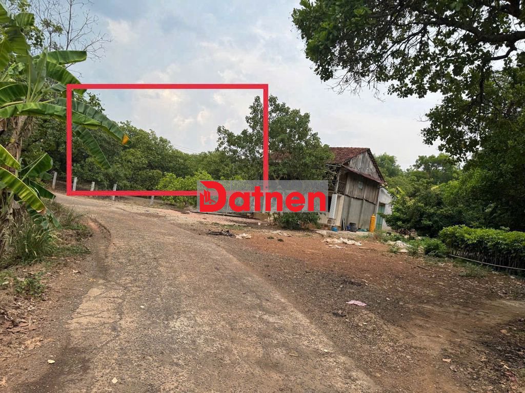 Chính chủ 10.236m2 thỗ cư QL14 cách TT Đồng Xoài 7km