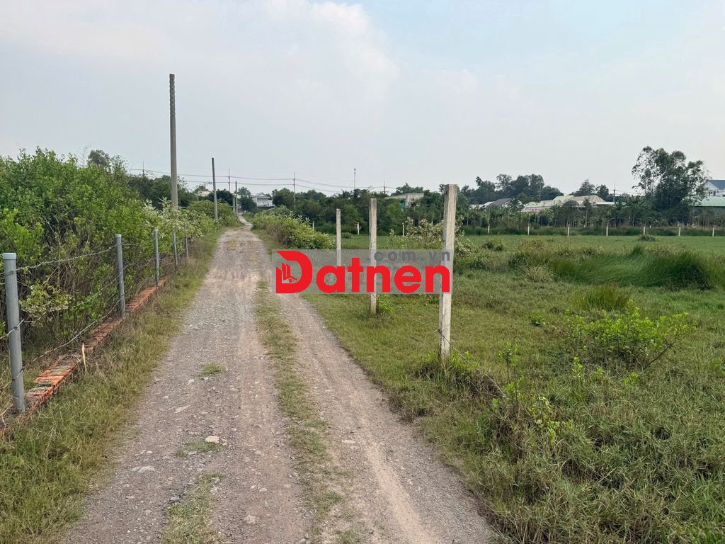 cần bán 1021m ngang 15,8m đất vườn chuyển thổ 1 xẹc Hùng Vương, Phú Độ