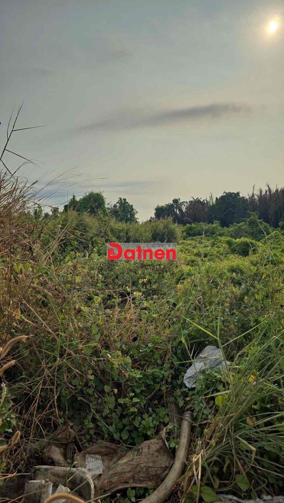 6tr/m2 - Đất mặt tiền 6.137m2 Võ Trần Chí - Tân Kiên - Bình Chánh