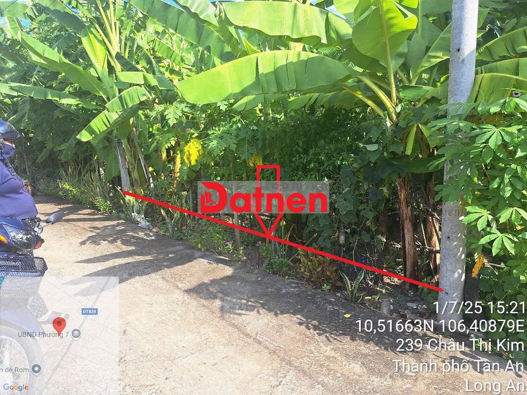 Bán đất ĐẸP 6m x 41m FULL THỔ CƯ hẻm Nguyễn Văn Trung, P7, TP Tân An