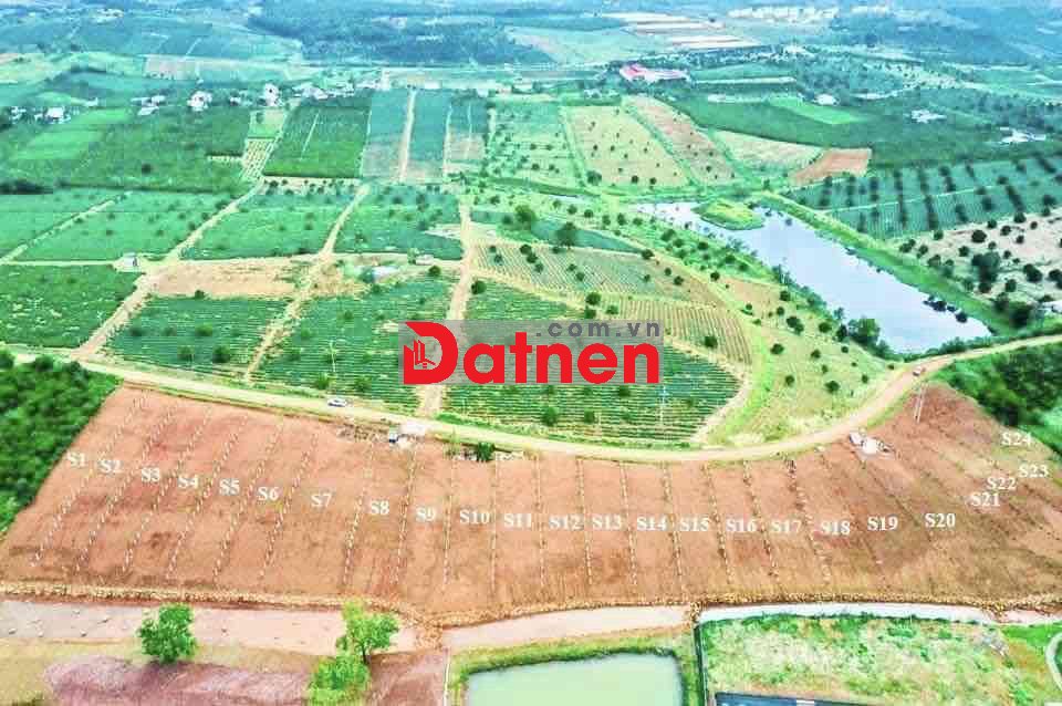 Bán 10x60,8 Lộc Tân Bảo Lâm gần các khu du lịch, cao tốc sổ thổ cư