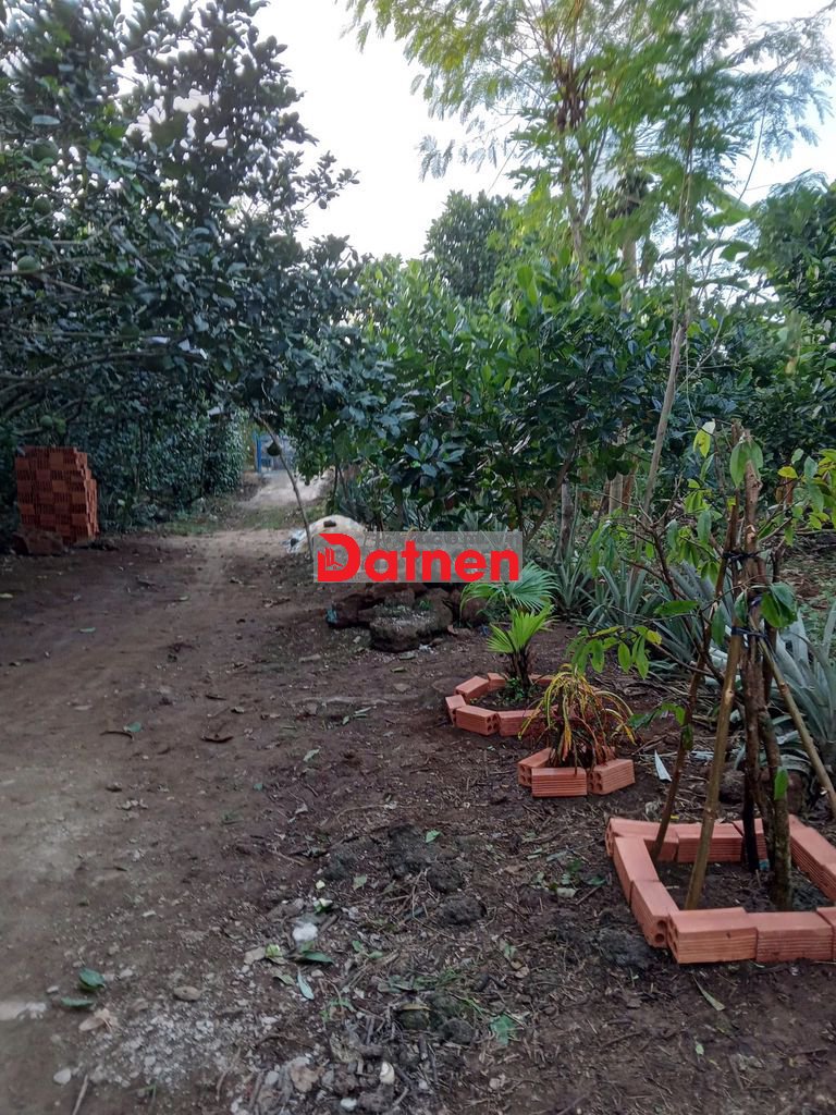 Bán Đất Vườn Đầu Tư Nghỉ Dưỡng Tại Đồng Nai