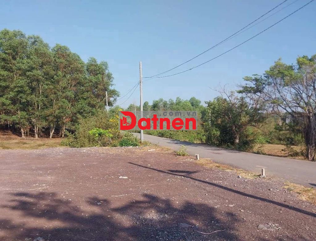 Bán lô đất 5x26 full thổ Biên Hòa