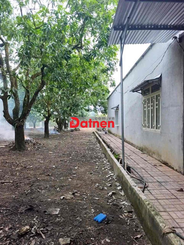 Bán 1001m2 có 135m2 thổ cư tặng nhà cấp 4 đẹp giá 1,3 tỷ thương lượng