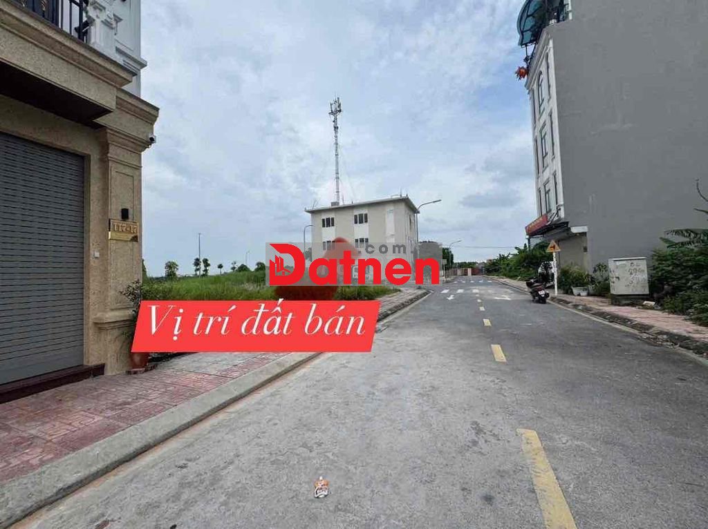 bán đất đấu giá phân lô cự khối