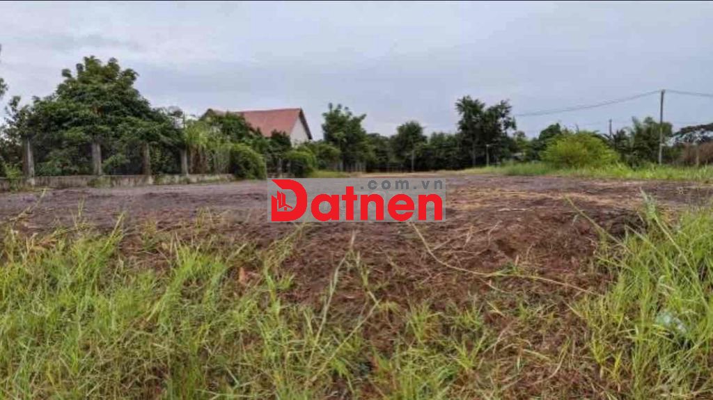 Bất 807m2 thổ cư, Thị Trấn Hậu Nghĩa, Đức Hoà, Long An