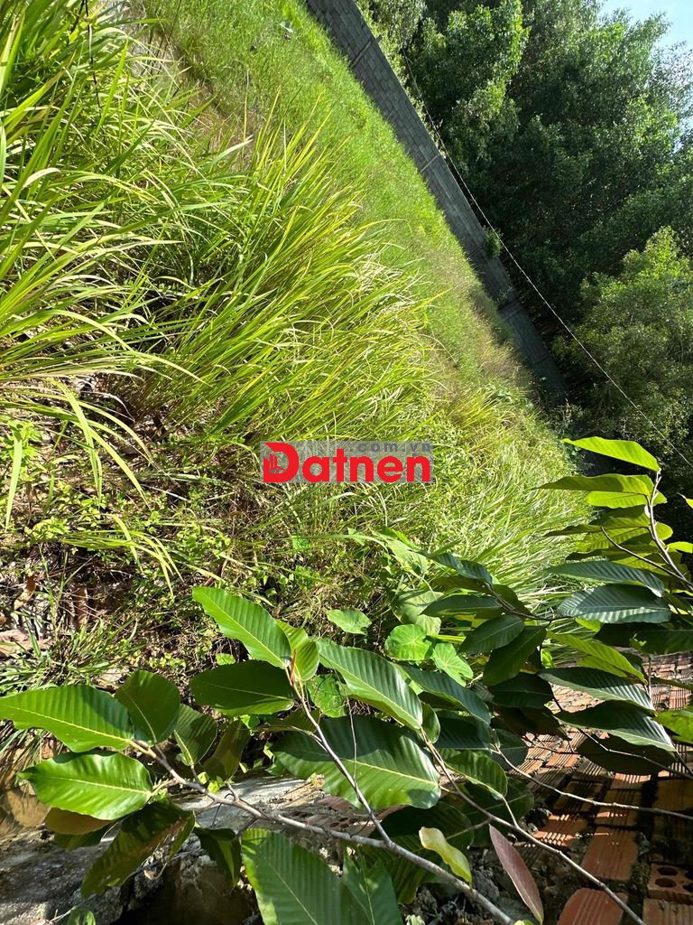 bán đất cln gần chợ bến cá, bách hoá xanh