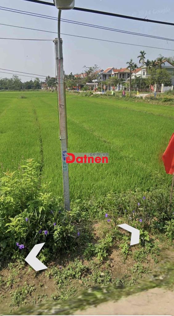 400m View Lúa trực diện làm nhà vườn hoặc phân lô