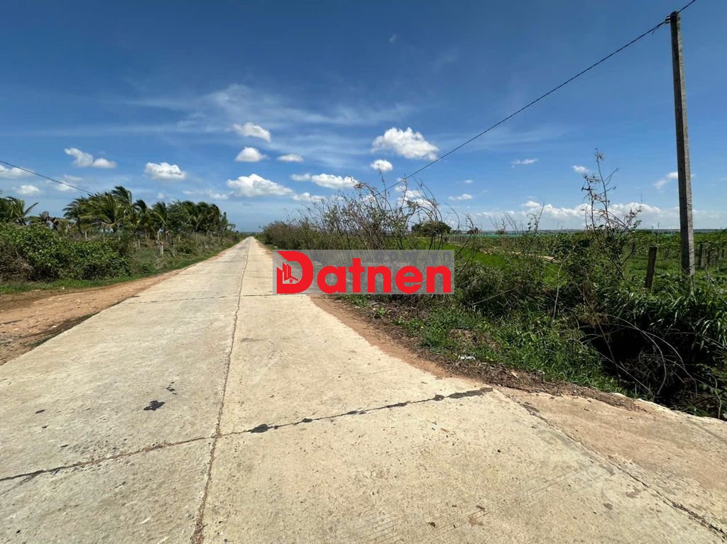 Bán ĐẤT MẶT TIỀN TÂY NINH LONG AN