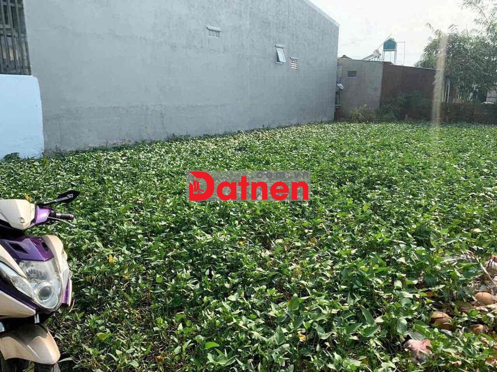 Đat Thi Trấn Bến Lức (củ)