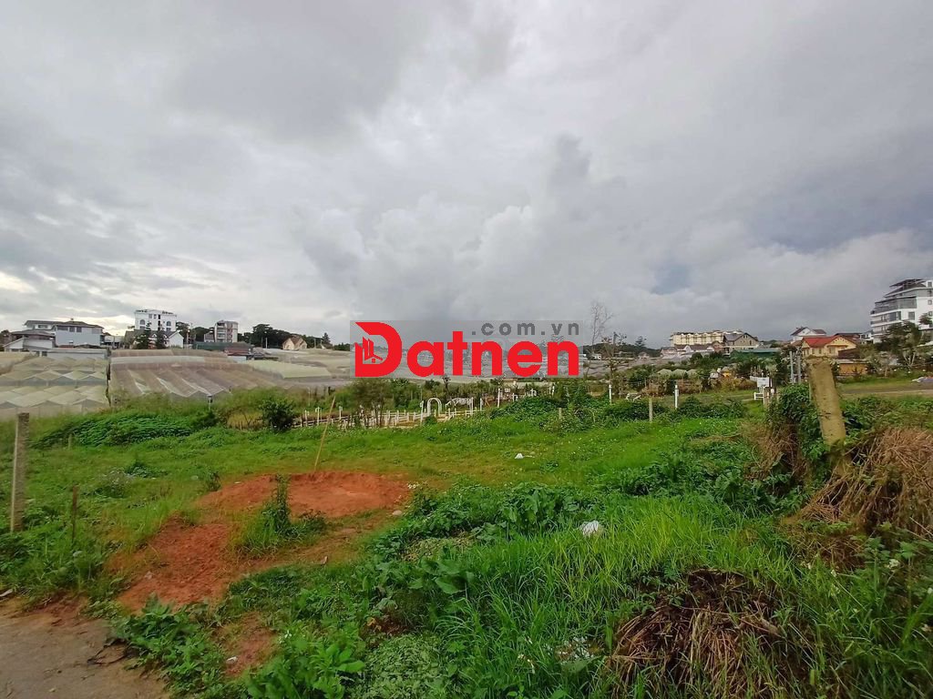 Bán Lô Đất 734M2 Gần KDL Thung Lũng Tình Yêu P8 Đà Lạt Chỉ 19tr9/m2