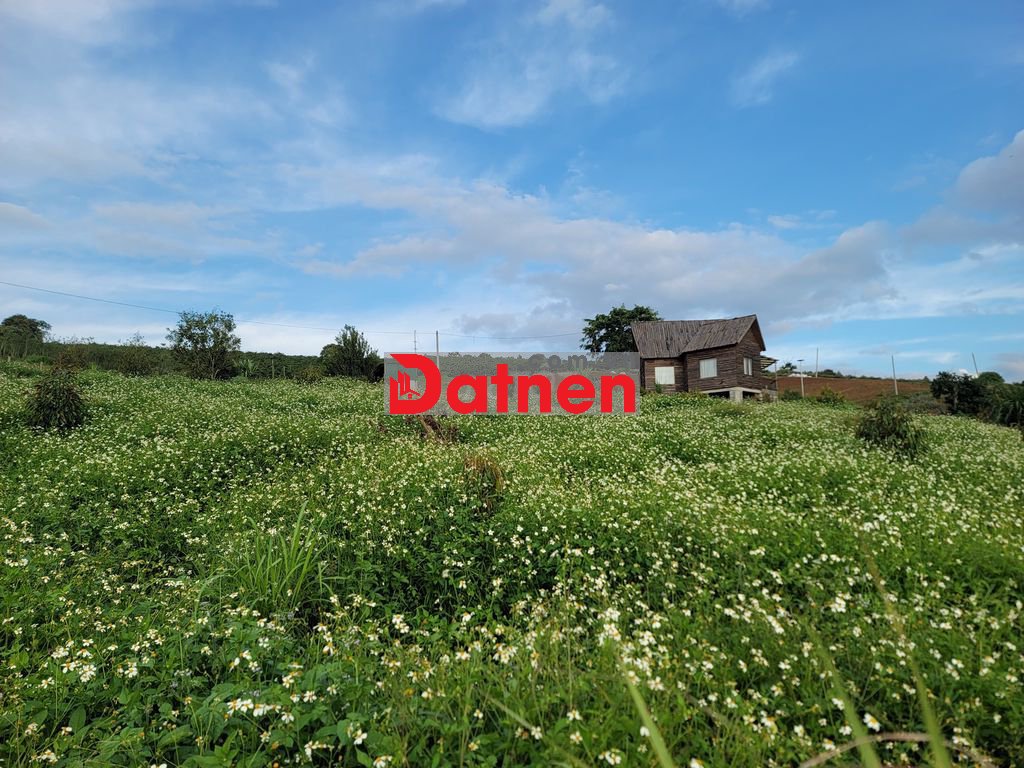 Bán đất 1000m2 cách UBND Tân Hà 1,2km, đầu hẻm có trạm sạc Vinfast