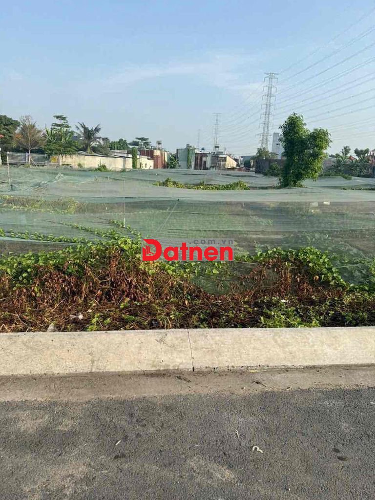 bán 2 lô đất liền kề. Mặt tiền Nguyễn Thị sáng. Xã Đông Thạnh