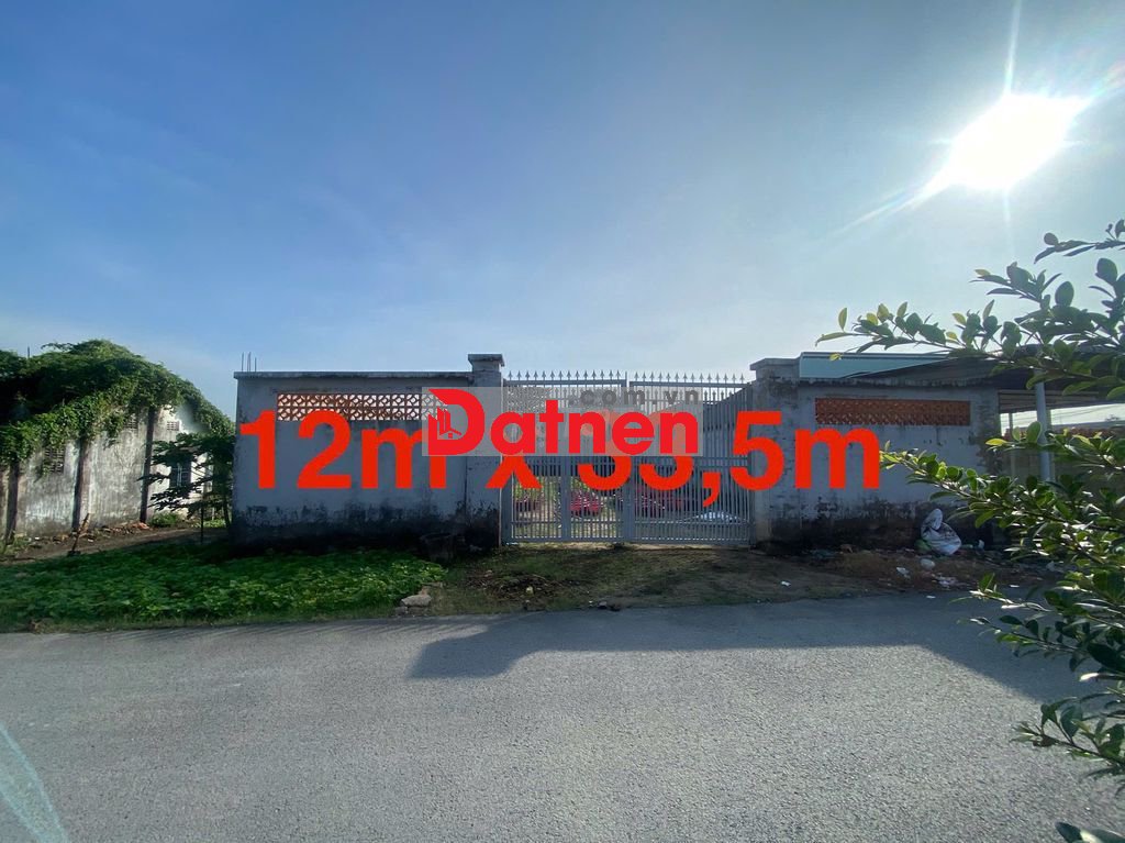 Bán lô (12m x 33m) 100% thổ cư mặt tiền đường, gần chợ Tân Thạnh Đông