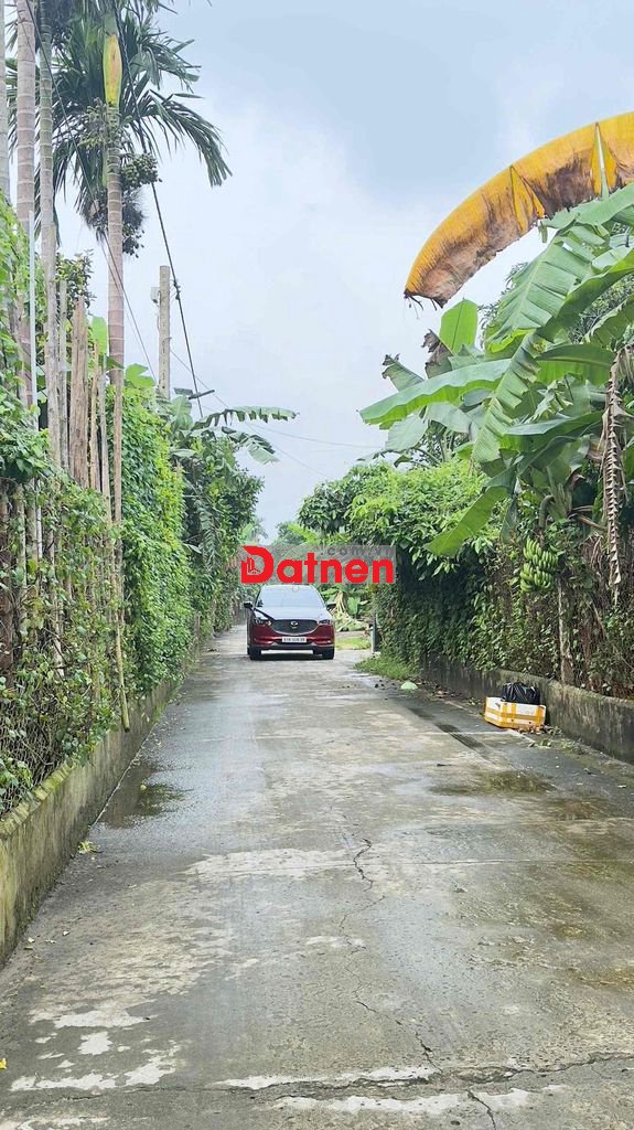 ĐấtVườn BìnhNhâm 30 DiệnTích 432m 10x43