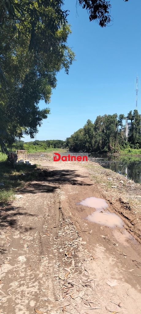 1239m² đất quy khu dân cư xã Tân Hiệp Hóc Môn 4.45 triệu/m2