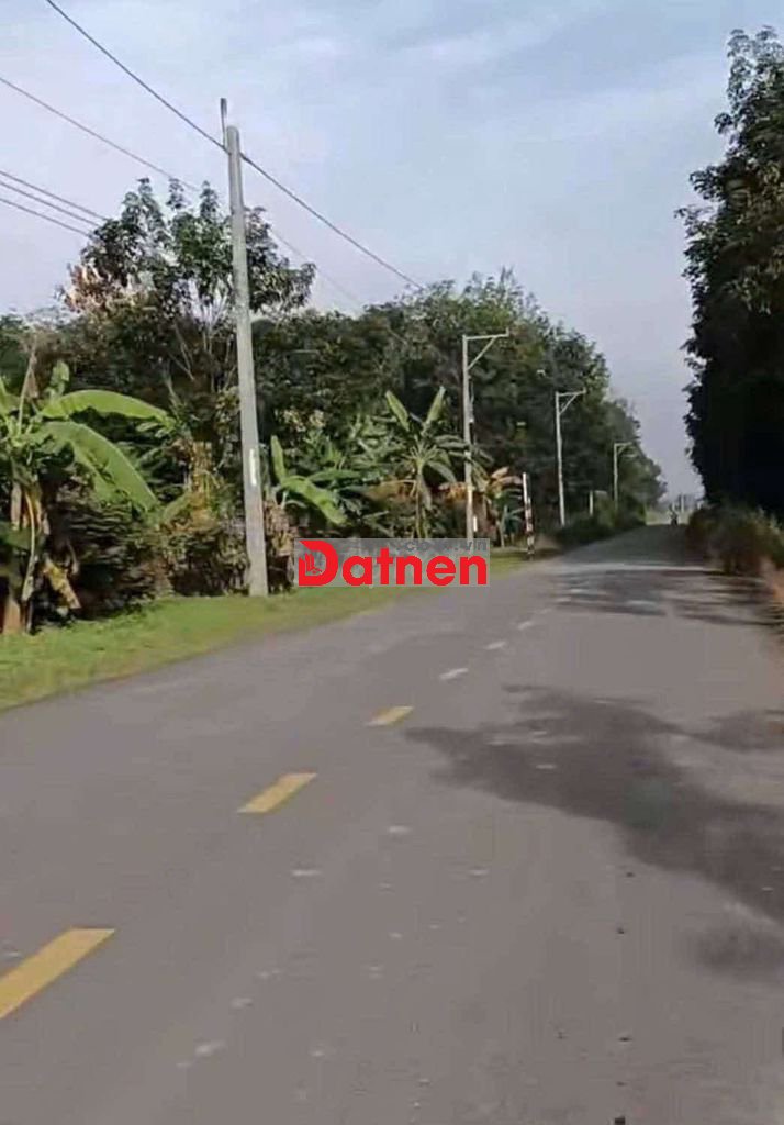 Đất Sào giá rẻ đường nhựa ĐH-511 xã Tân Hiệp 3.000m² giá 3 tỷ 480triệu