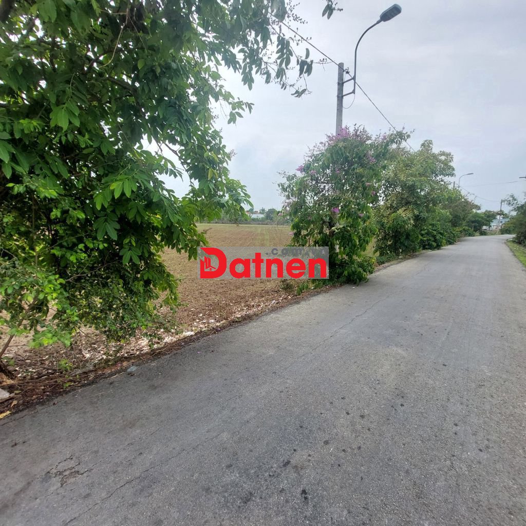 Bán đất mt phạm tấn mười hưng long bình chánh 4984m2 70x75 giá 25ty