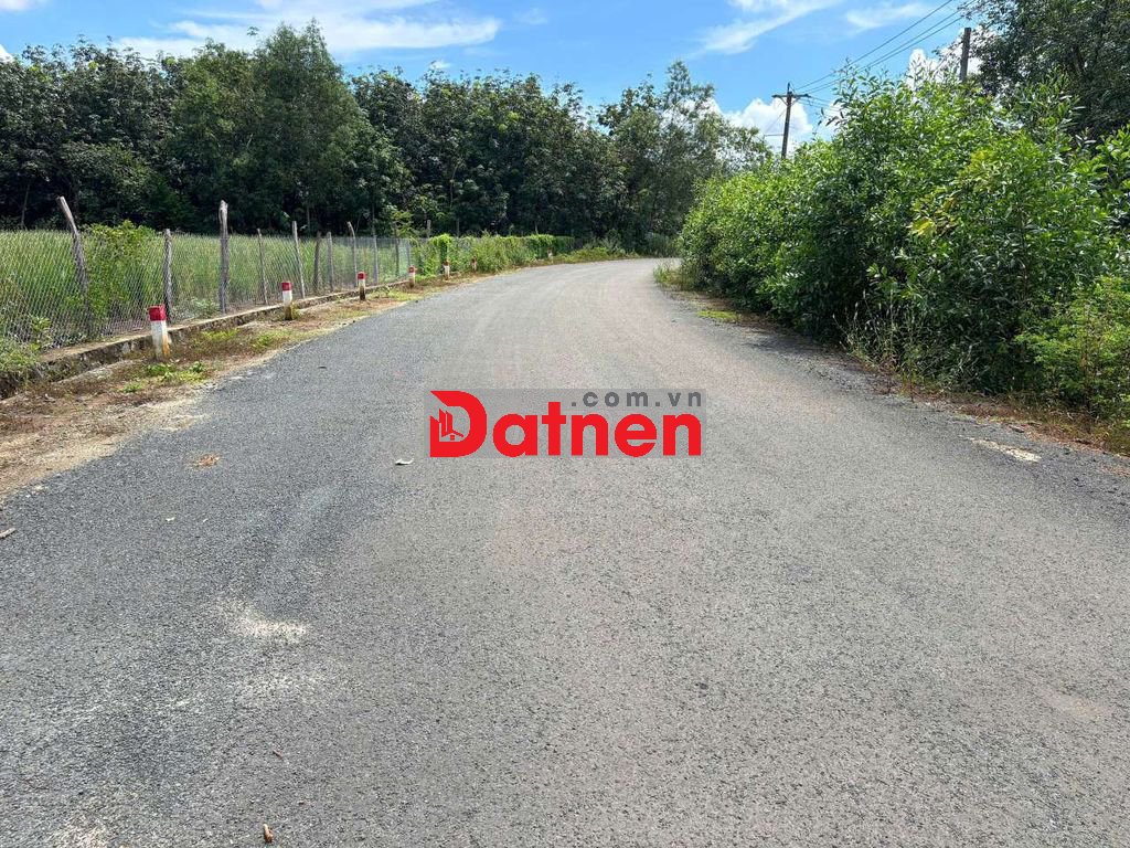 2 hecta đường nhựa điện 3 pha