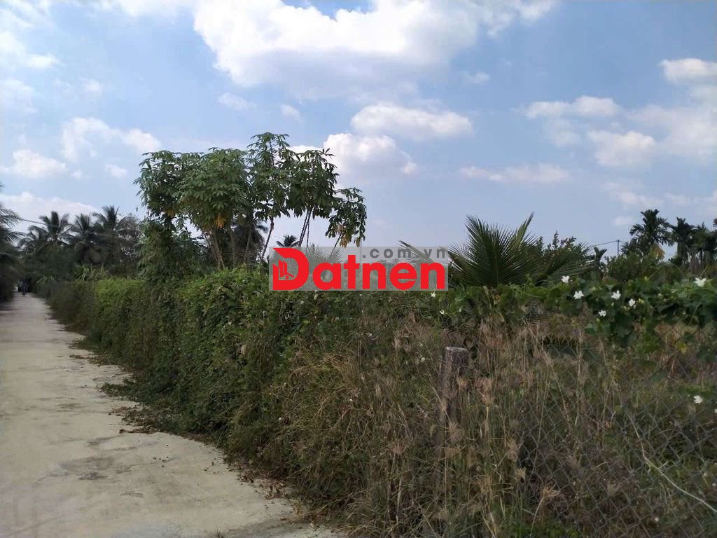 Cần bán 3000m2 đất thổ đường 879b