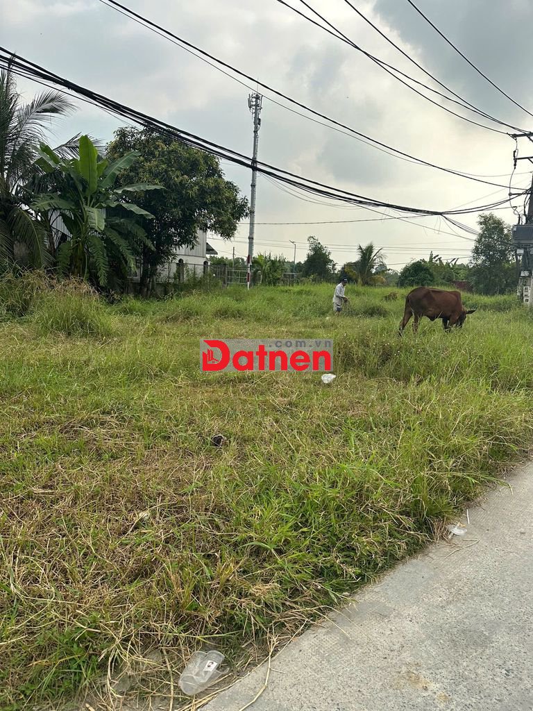 CHỦ CẦN BÁN HẠ GIÁ còn 3.1ti lô góc 2MT 173m2 xã An Phú Tây