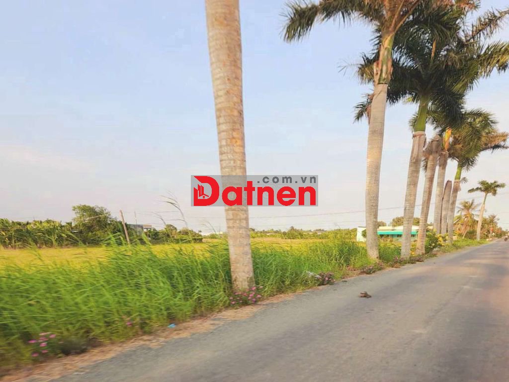 Hàng Vip, 1158m2 đất có thổ cư đường xe tải Phạm Công Thân chỉ 1 tỷ