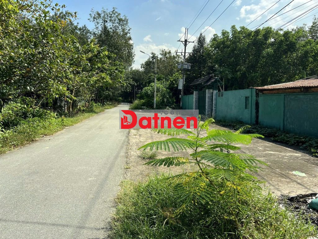 MT đường NGUYỄN THỊ DÒN, dt 2.155m2, có 230m thổ cư.