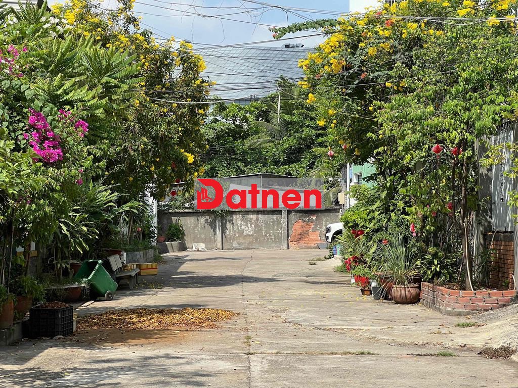 Đất Ngay Gigamall 14 x 22 ( 290m2 )