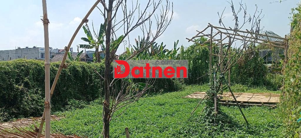 Đất đường Bình Mỹ ô tô thông. Tiện xây nhà vườn.