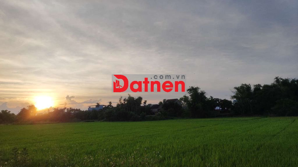 Chính chủ Đất vườn đẹp 1113m2 có thổ cư