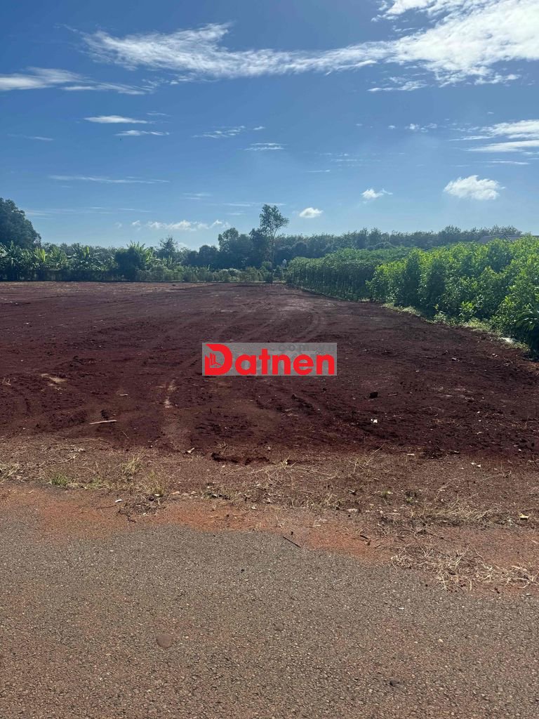 cần bán lô đất mặt tiền đường nhựa 89B long phước nay phường Tam long