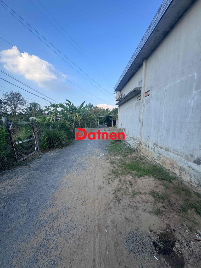 Đất vườn view sông An Hữu, Cái Bè tiện nghĩ dưỡng 1179.3m2, đường oto,