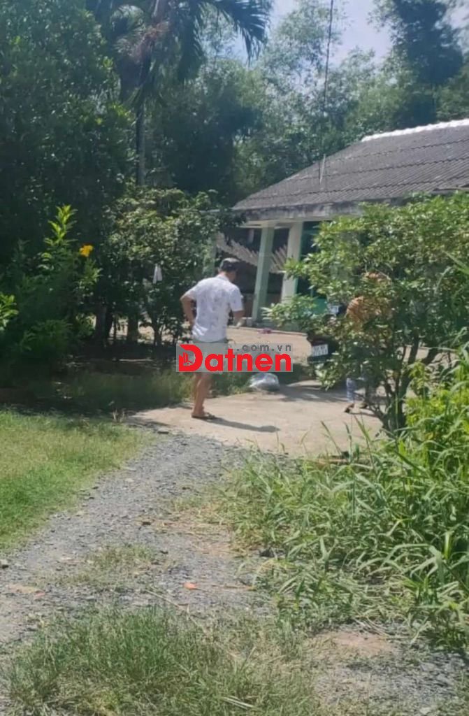 Nhà vườn đất thổ cư 34m x 35m ấp Rừng Dầu, xã Mỹ Hạnh Bắc