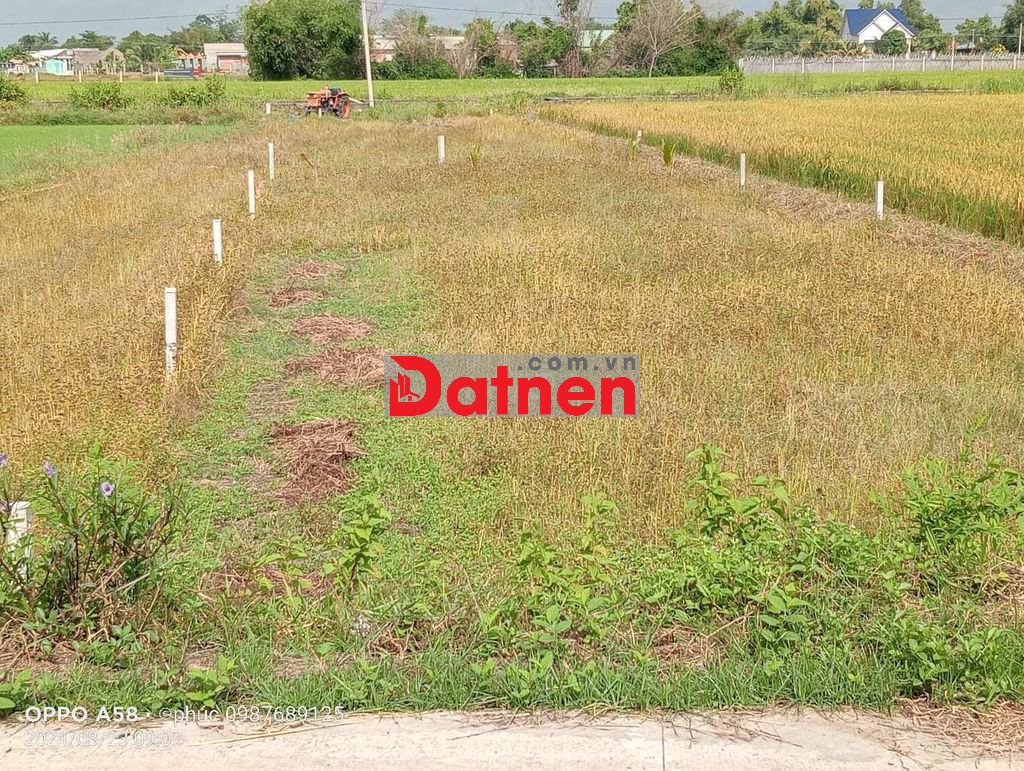 BÁN LÔ ĐẤT THỔ CƯ 100% TẠI ĐỨC HÒA DT 234M2
