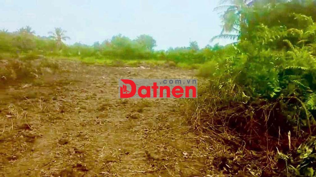 BÁN ĐẤT NỀN LONG AN GIÁ RẺ