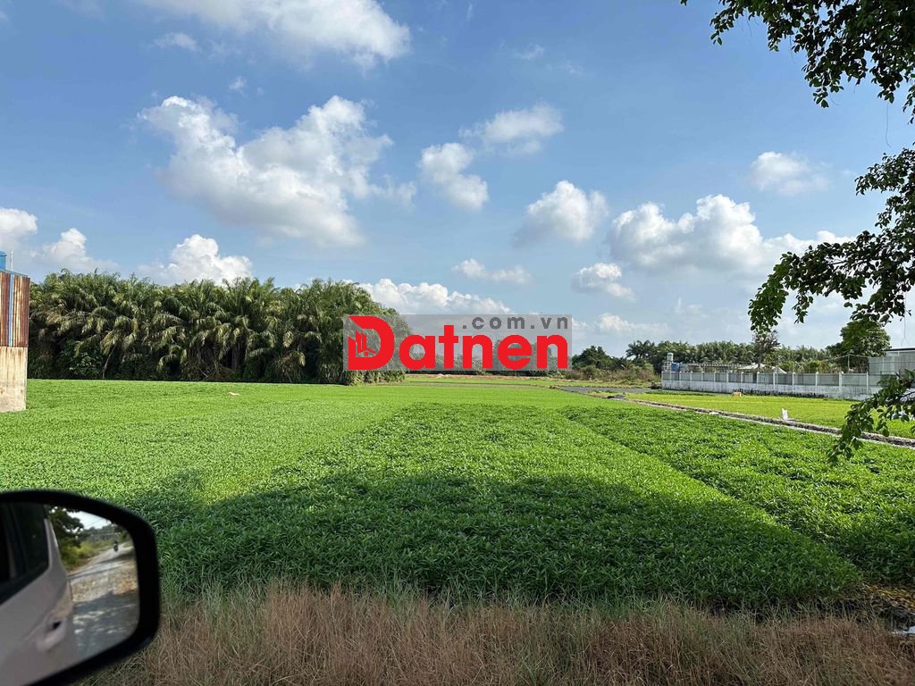 GIA ĐÌNH CẦN BÁN 6400m2 đất Cây lâu năm - 29 tỷ