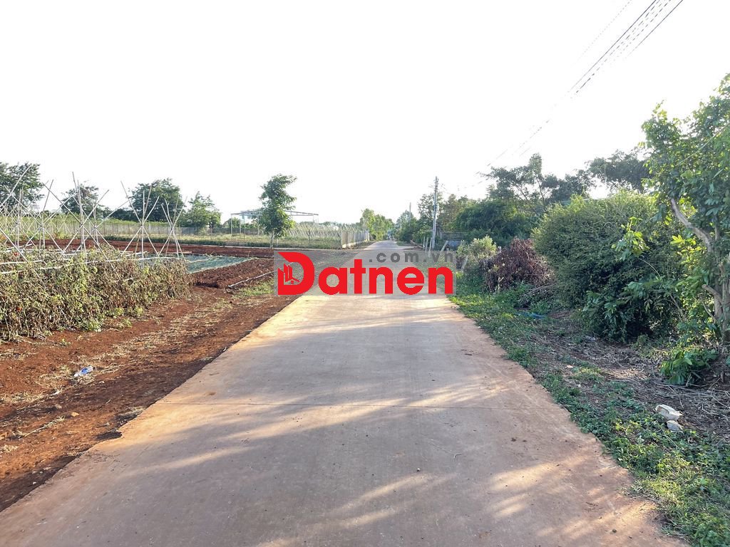 💥Đất TC Full 5*21,8m hẻm Nguyễn Đình Chiểu nốidài,gần DựÁn TrungNguyên