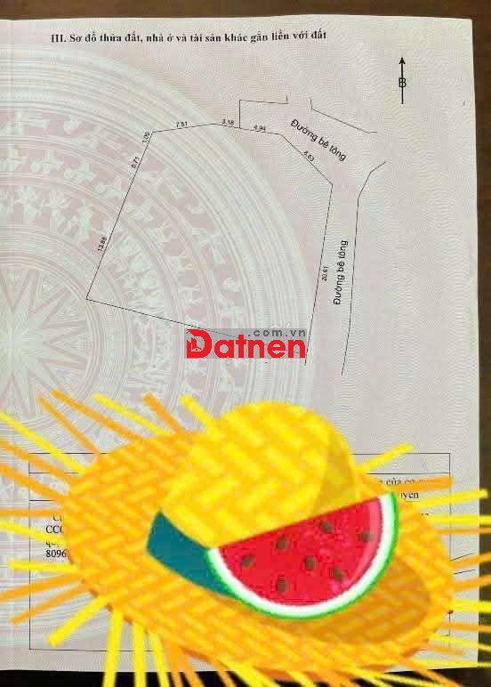 Đất làm homestay 2 mặt kiệt, 577m2 có 200m2 đất ở gần sông cu đê