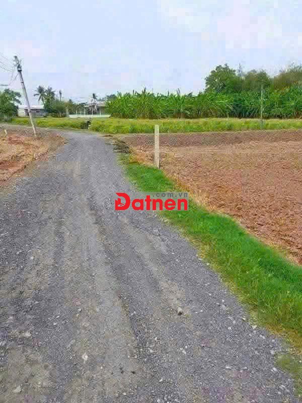 1000m2 đất 1tỷ850triệu đường Bùi V Hoàng Cần Đước cách Bình Chánh 25ph