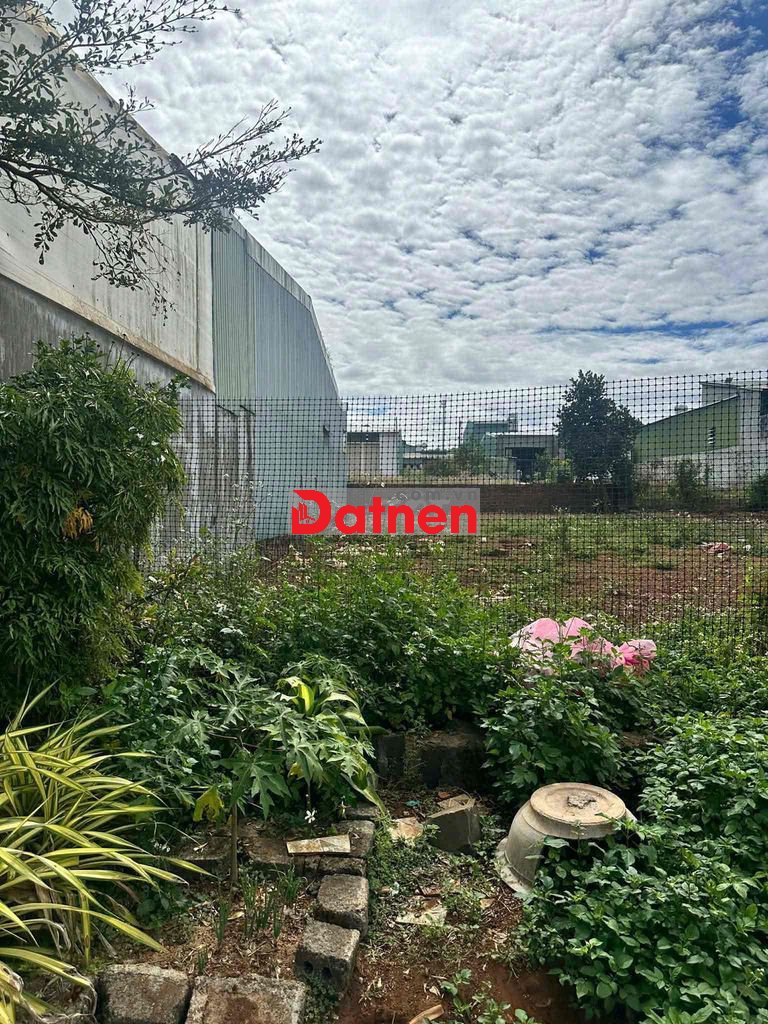 đất full thổ cư 10m*25