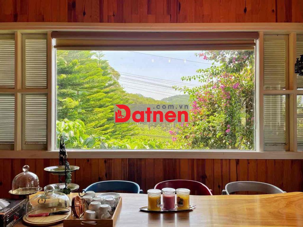 Bán căn nhà vườn view rừng thông 1500m2/1,2 tỷ có sẳn tiểu cảnh