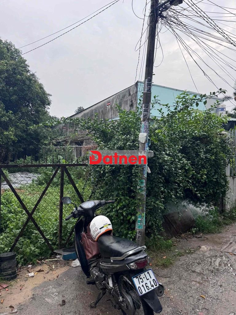 ✈️LÔ ĐẤT THỔ CƯ GIÁ 5 TỶ 500 (5,6M x 52M) – XÃ BÀ ĐIỂM